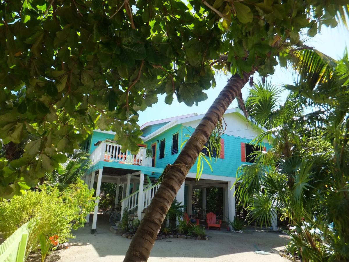 Вилла The Bottle Tree House Кей-Колкер Экстерьер фото